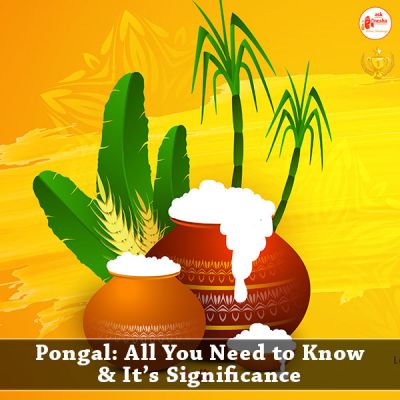 Pongal: All You Need to Know and it's Significance
