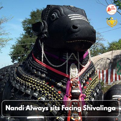 Nandi always sits Facing Shivalinga