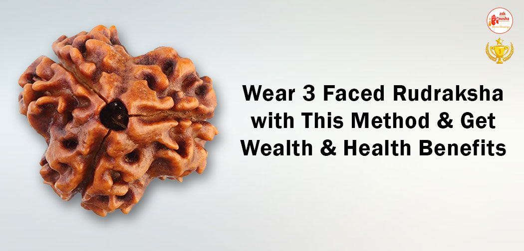 Wear 3 Faced Rudraksha with This Method and Get Wealth and Health Benefits