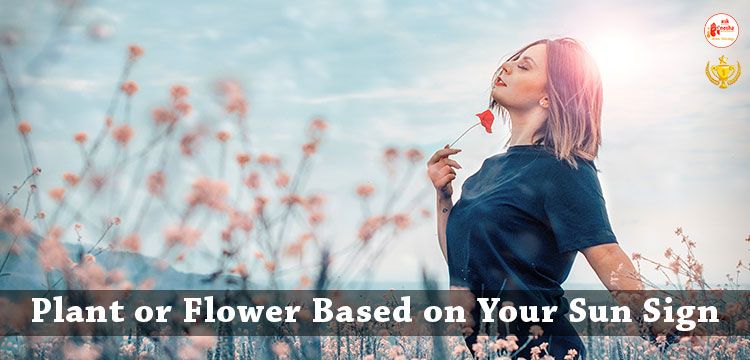 Connect with the Plant or Flower based on your Sun sign