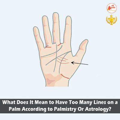 What Does It Mean to Have Too Many Lines on Palm According to Palmistry Or Astrology?