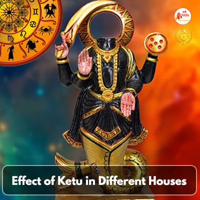 Effect of Ketu in Different Houses