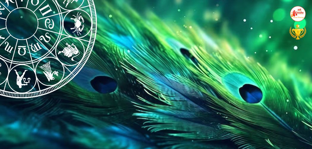 5 Astrological uses of Peacock Feathers