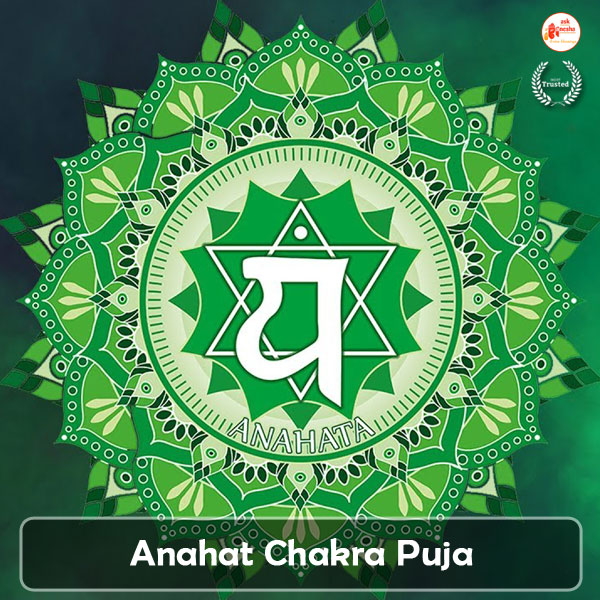 Lanolina Pura Chakra Anahata / Afecto