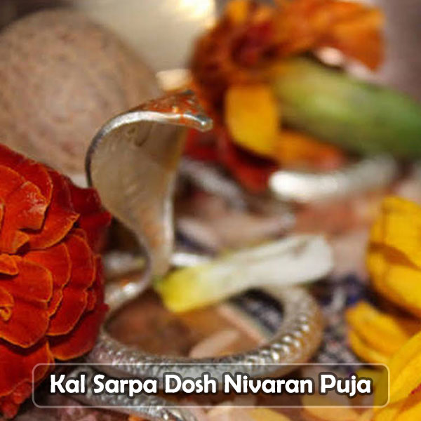 Kal Sarpa Dosh Nivaran Puja