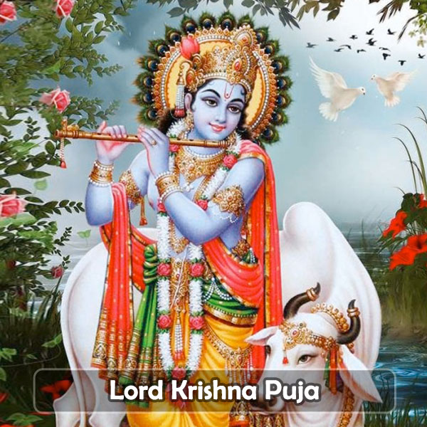 Lord Krishna Puja