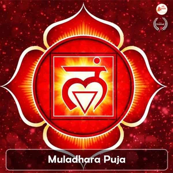 Muladhara Chakra Puja