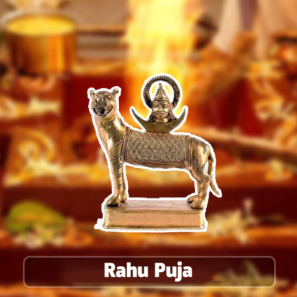 Rahu Puja And Homam