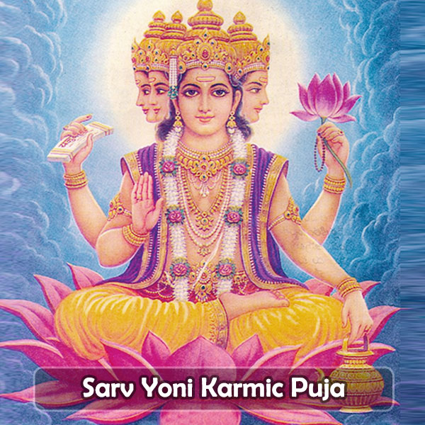 Sarv Yoni Karmic Puja