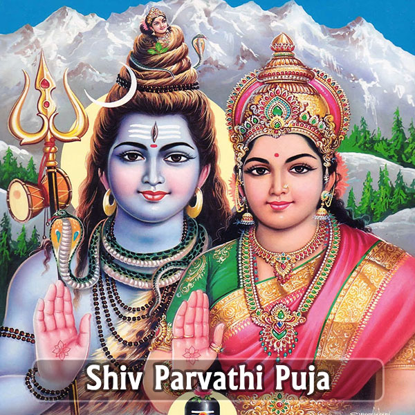 shiva parvati marriage story