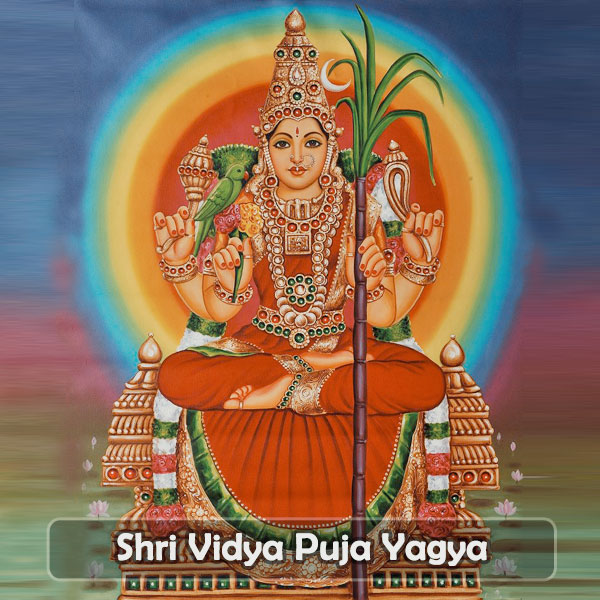Shri Vidya Puja Yagya