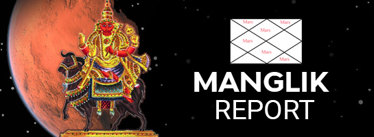 Mangalic Report